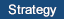 Investment Strategy