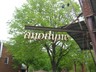 Anodyne1